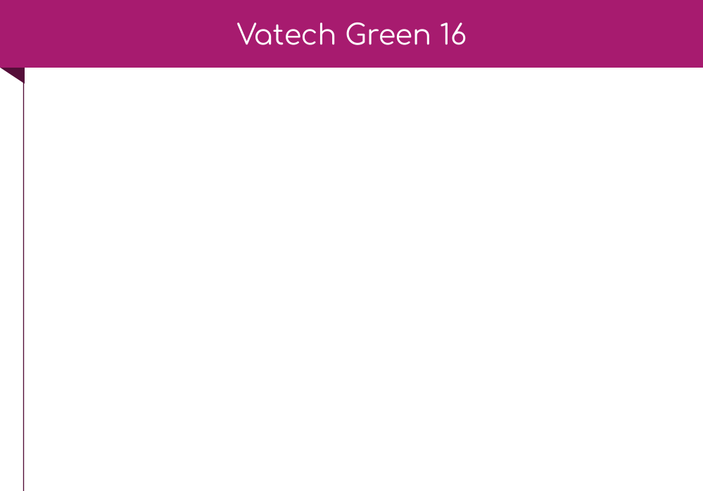 Vatech Green 16
