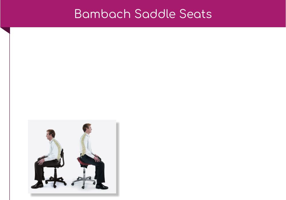 Bambach Saddle Seats
